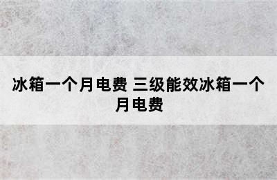 冰箱一个月电费 三级能效冰箱一个月电费